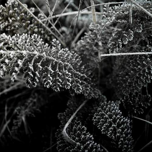 Photo #6856122