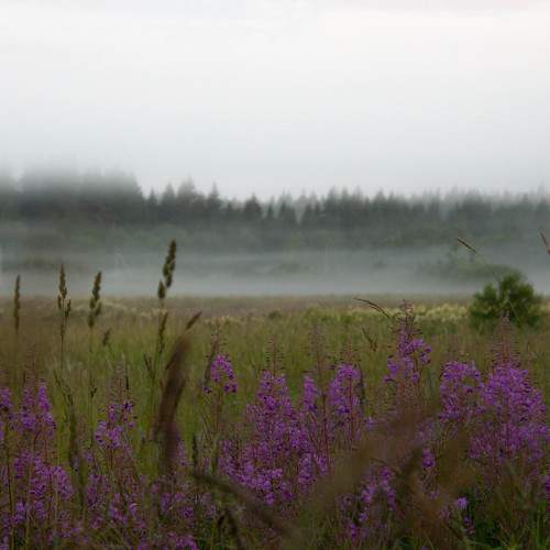 Photo #6856161