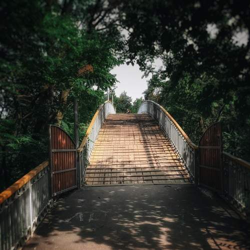 Photo #6856170