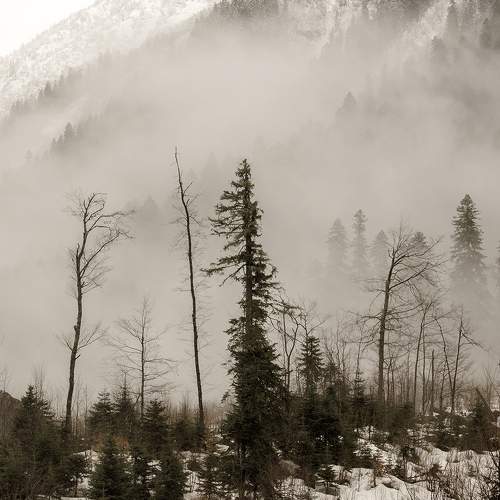 Photo #6856261