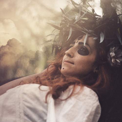 Photo #6856766
