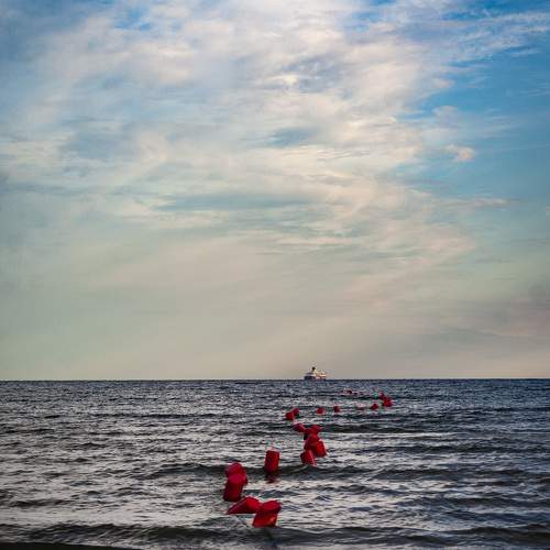 Photo #6856775