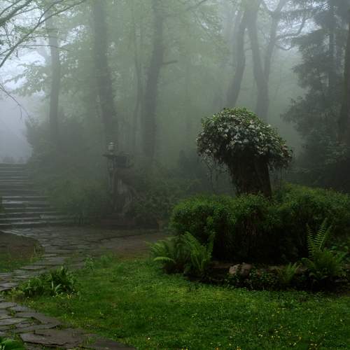 Photo #6856849