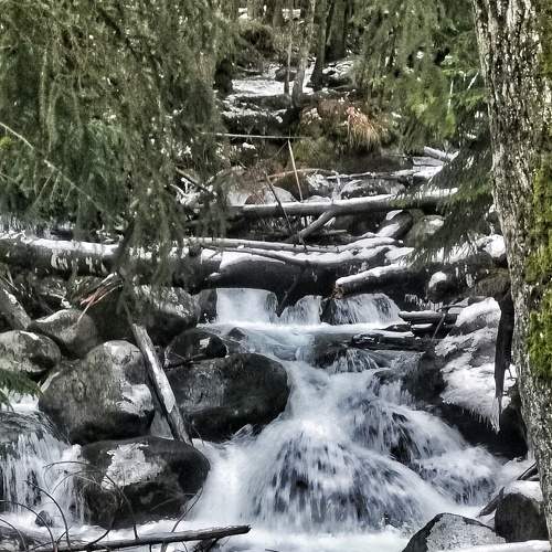Photo #6856854