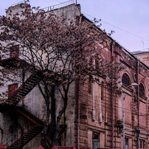 Photo #6856898