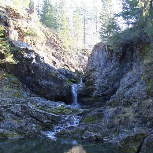 Photo #6856918
