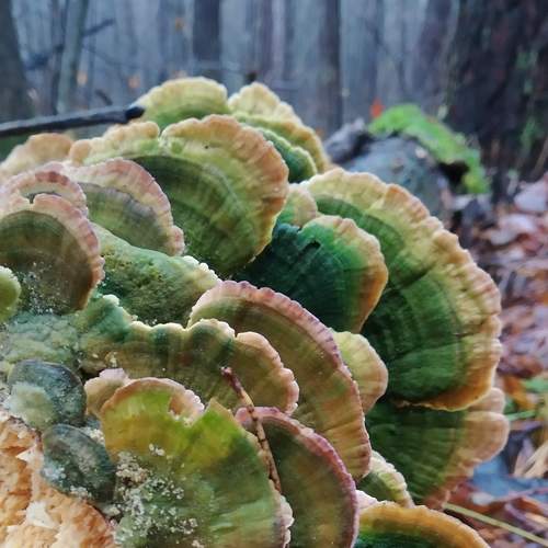 Photo #6856934
