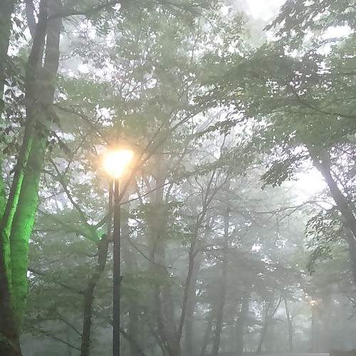 Photo #6856951