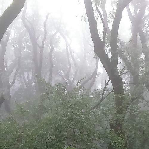 Photo #6856952