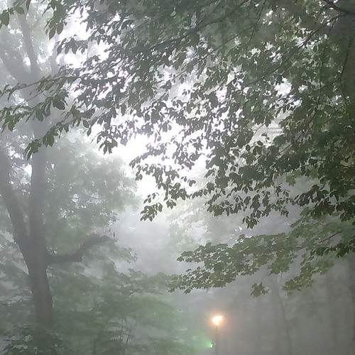 Photo #6856953