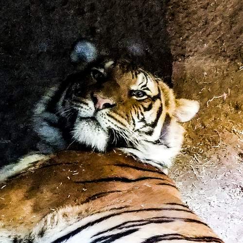 Photo #6857003