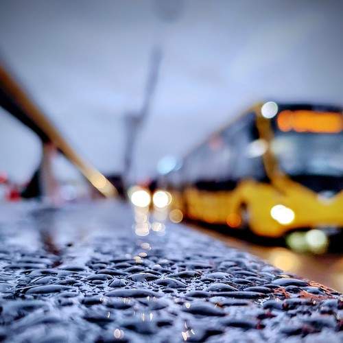 Photo #6857169