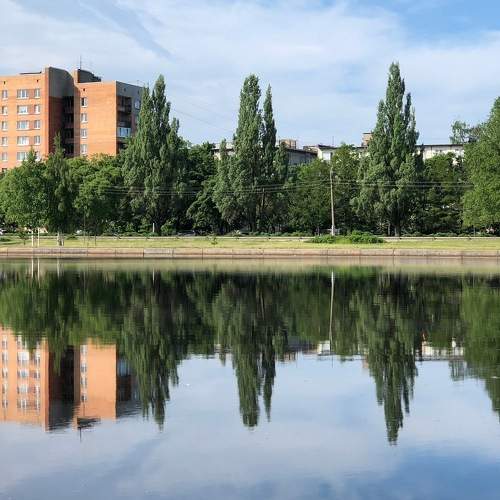 Photo #6857809