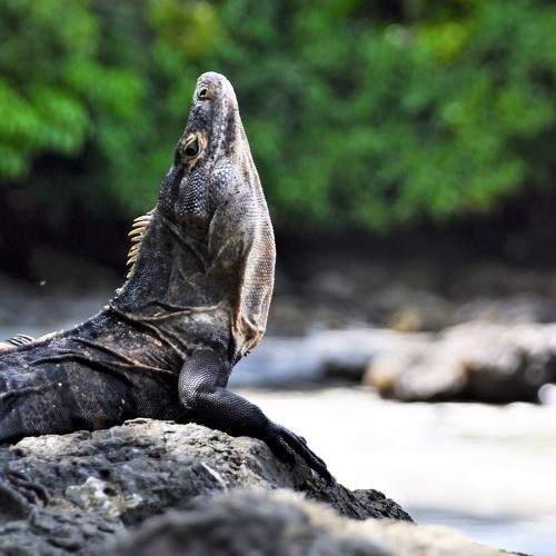 Photo #6858071