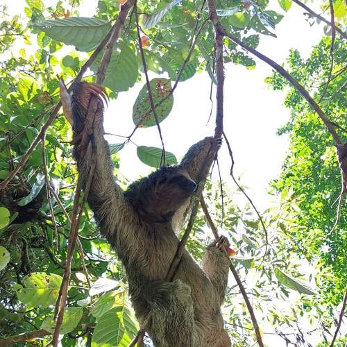 Photo #6858116