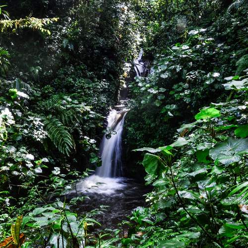 Photo #6858187
