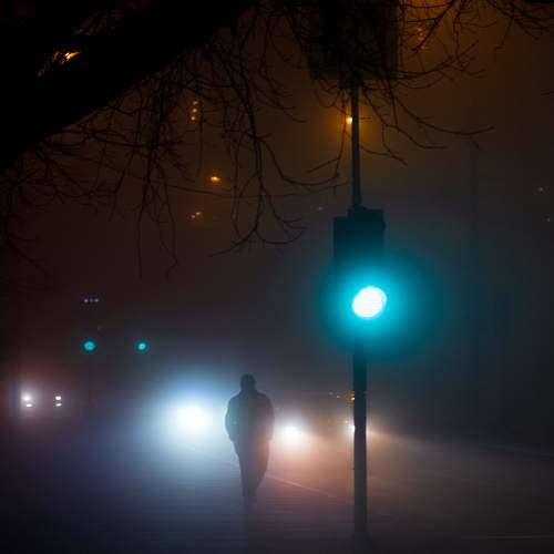 Photo #6858260