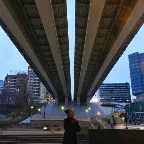 Photo #6858318
