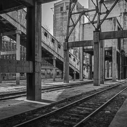 Abandoned old plant