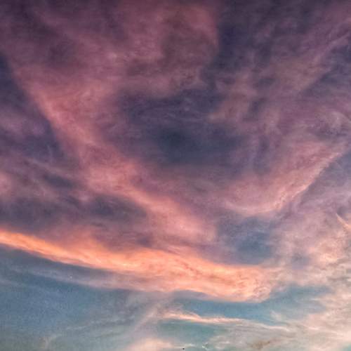 Photo #6858626