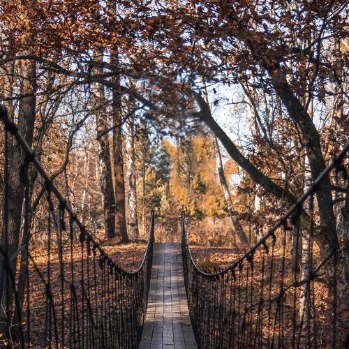 Photo #6858965