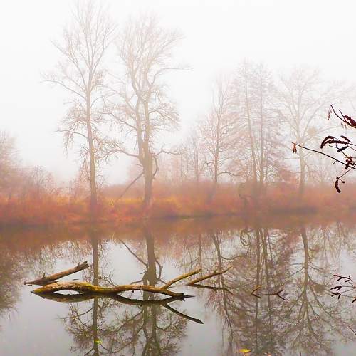 Photo #6858970