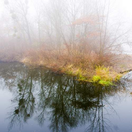 Photo #6858971