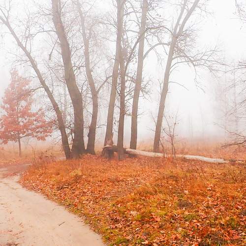 Photo #6858972