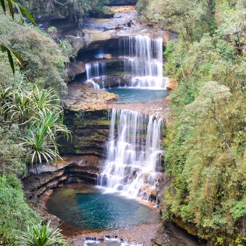 Photo #6858994