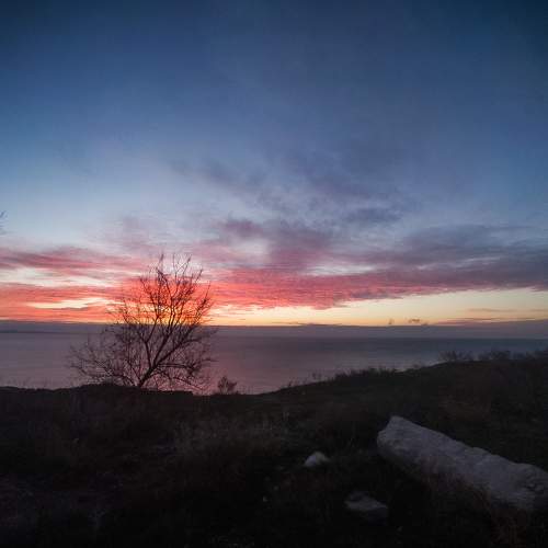 Photo #6859545