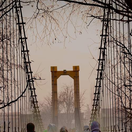 The walk in fog