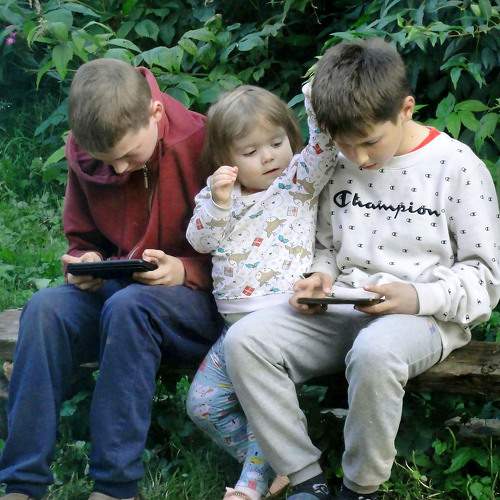 Photo #6859789