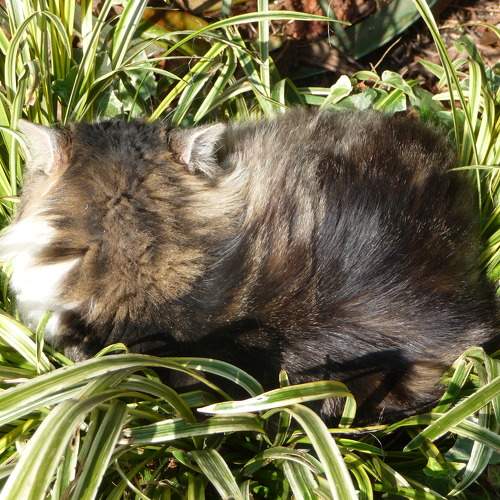 Photo #6859936
