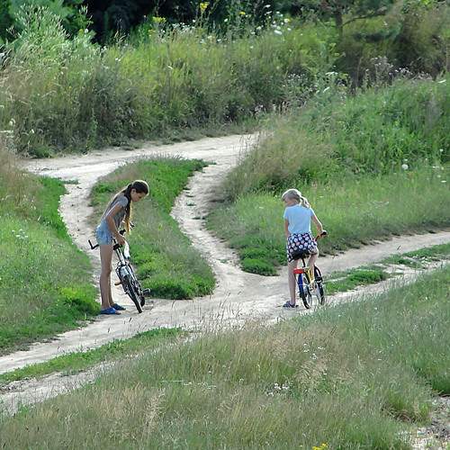 Photo #6859958