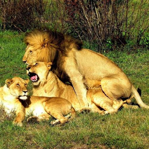 Photo #6860014