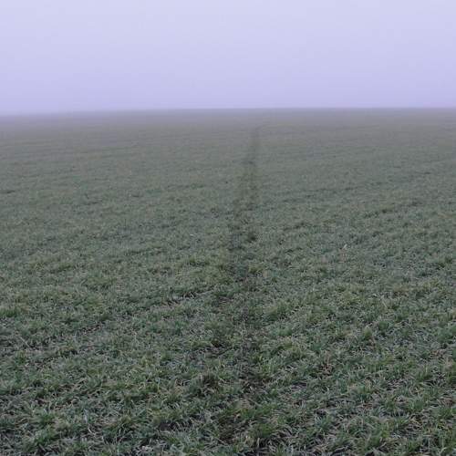 Photo #6860036