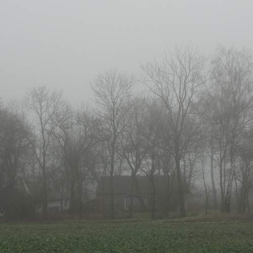Photo #6860044