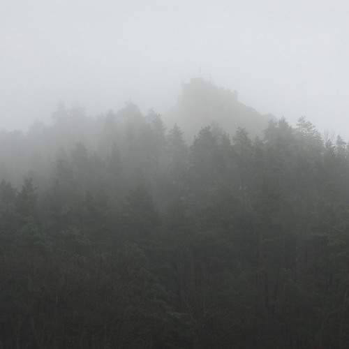 Photo #6860078