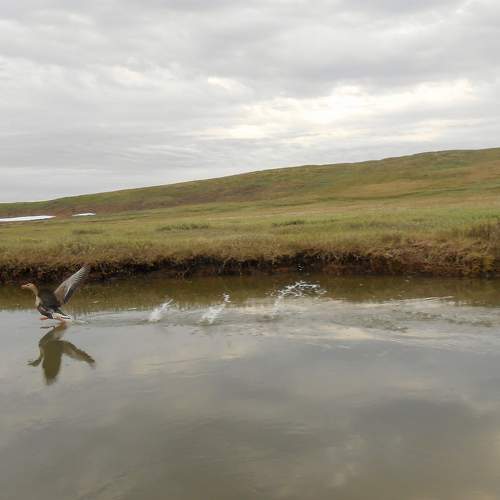 Photo #6860336