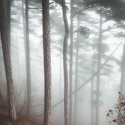 Photo #6860996