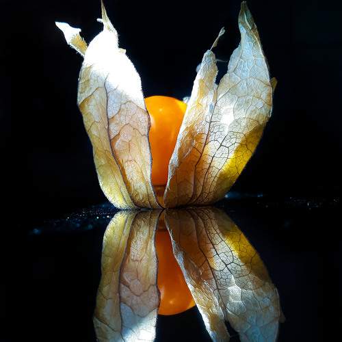 Photo #6861254