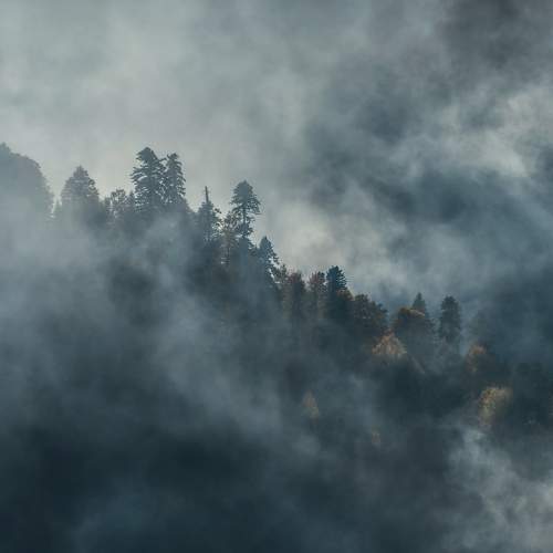 Photo #6861271