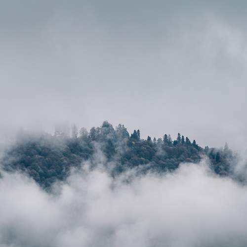 Photo #6861281