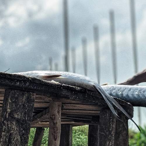 Photo #6861323