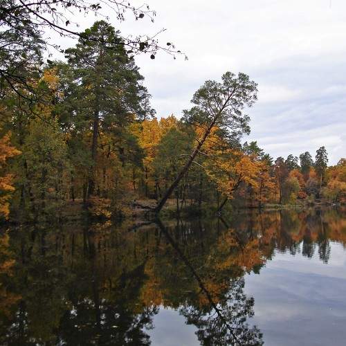 Photo #6861461