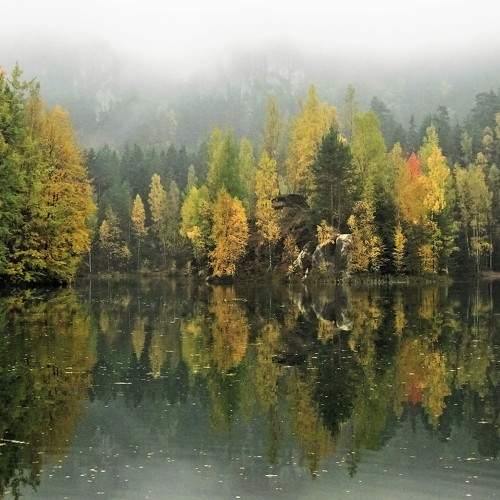Photo #6861475