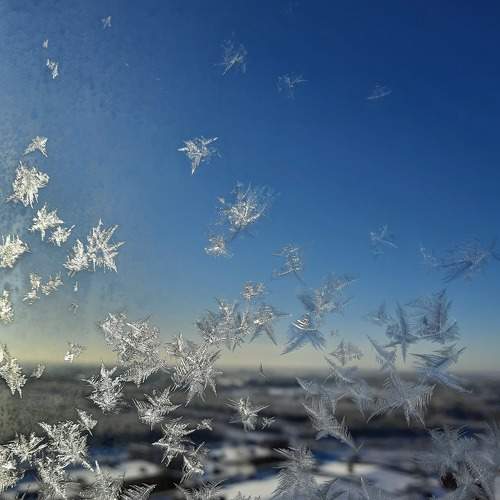 Photo #6861544
