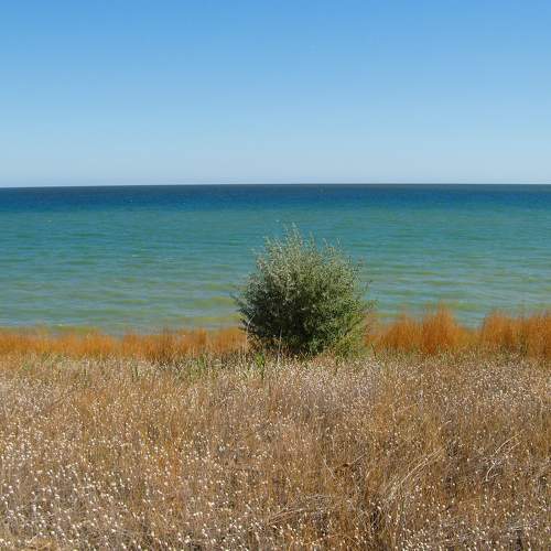 Photo #6861549