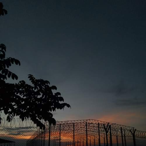 Photo #6861632