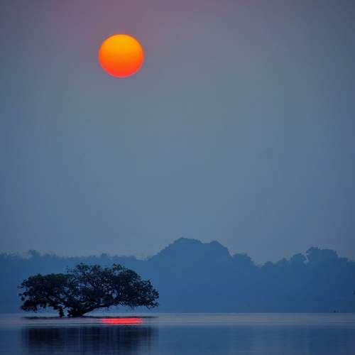 Photo #6861975